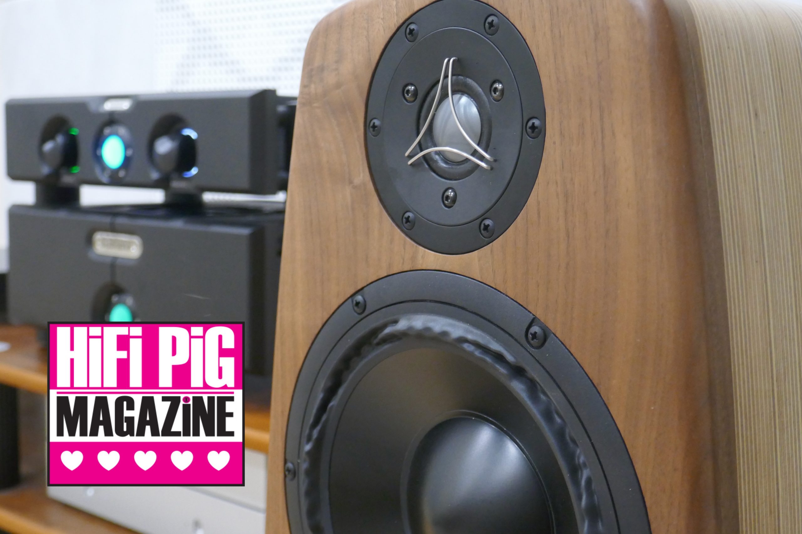 HiFi Pig Review of Saltwood Sounds